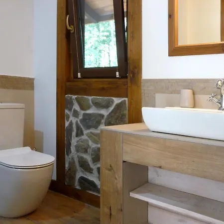 W Brzozowym Lesie Sulicice