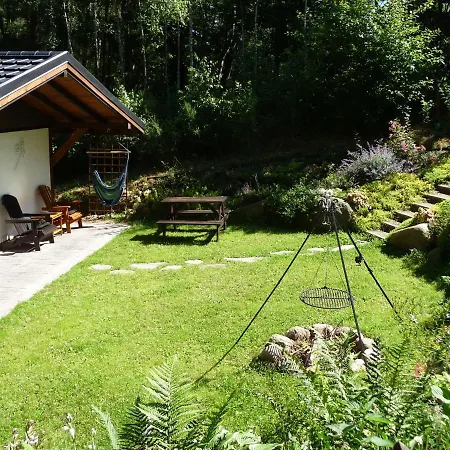 W Brzozowym Lesie Sulicice