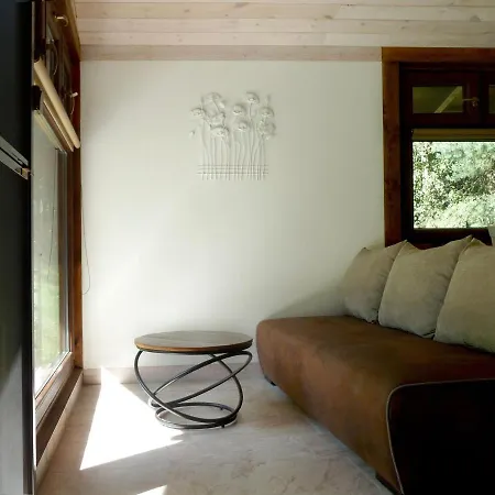 W Brzozowym Lesie * Sulicice