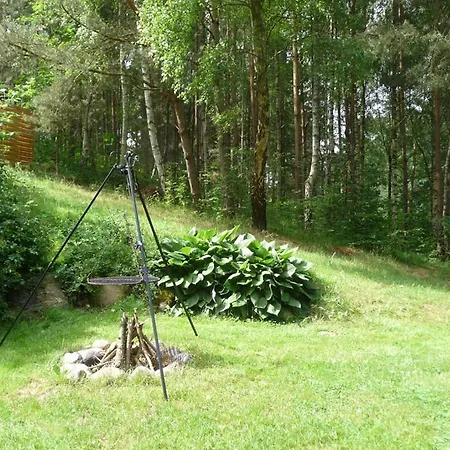 W Brzozowym Lesie בית נופש *