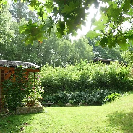 W Brzozowym Lesie Holiday home *