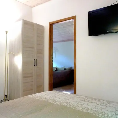 W Brzozowym Lesie * Sulicice