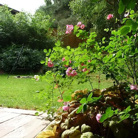 W Brzozowym Lesie בית נופש *