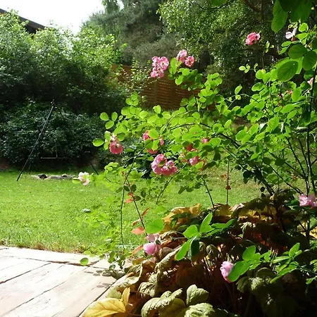 W Brzozowym Lesie Holiday home *