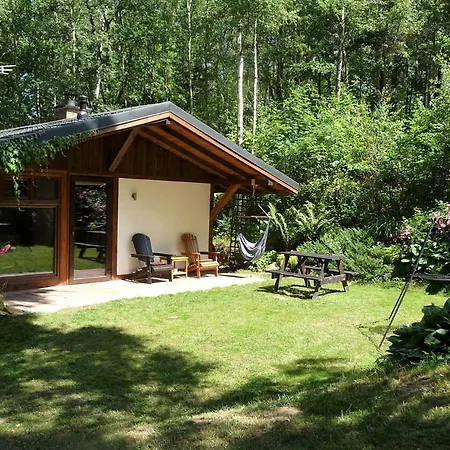 W Brzozowym Lesie Holiday home *