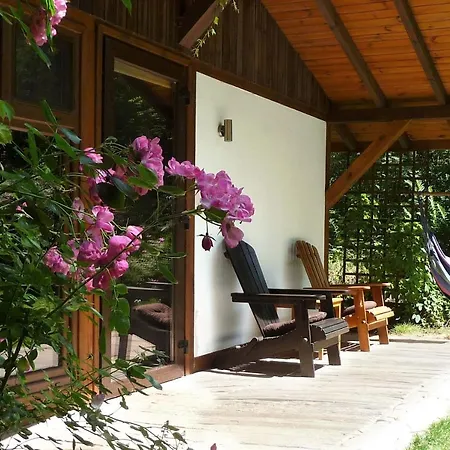 בית נופש W Brzozowym Lesie Sulicice