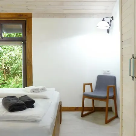 W Brzozowym Lesie בית נופש *