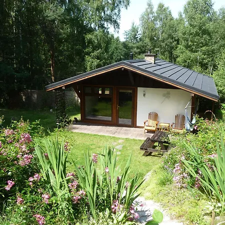W Brzozowym Lesie Holiday home *