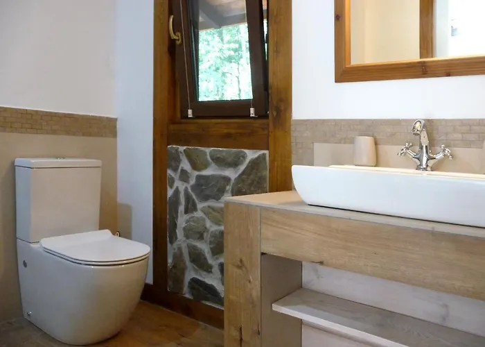 W Brzozowym Lesie Sulicice