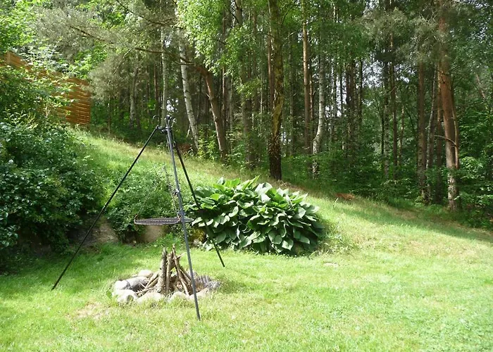 W Brzozowym Lesie Dom wakacyjny *