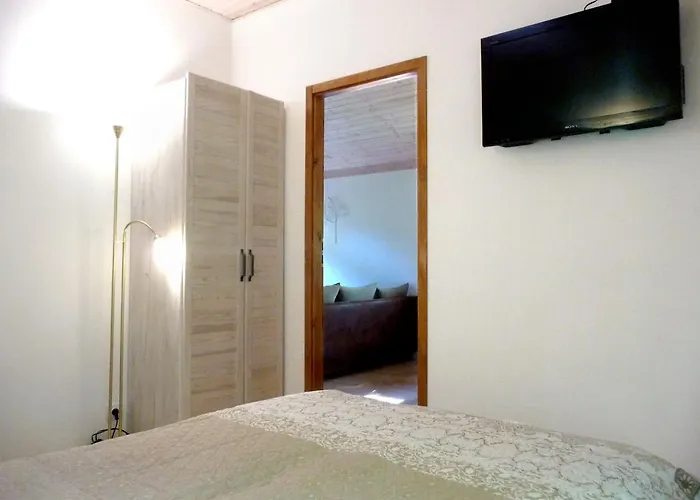 W Brzozowym Lesie * Sulicice