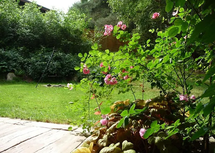 W Brzozowym Lesie Dom wakacyjny *