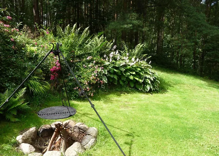 Dom wakacyjny W Brzozowym Lesie *