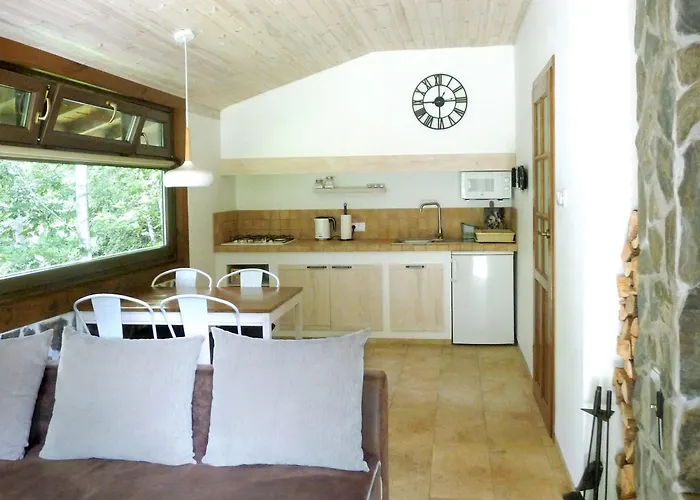 W Brzozowym Lesie * Sulicice